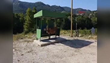 Düzce'de sıcak hava asfalt eritti