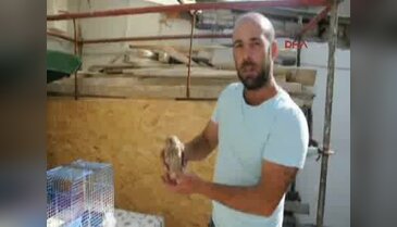 Aşırı sıcaklardan o da etkilendi