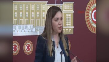 Arzu Erdem TBMM'de basın toplantısı düzenledi - 2