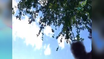 Yılanı okşama isteği kötü bitiyordu