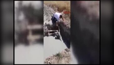 Bursa İnegöl'de köpeği bataklıktan kurtaranlara ödül