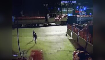 Adana'da kamyondan çuvallarla sarımsak çaldı