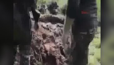 Ukrayna askerleri Rus ayrılıkçıyı diri diri gömdü