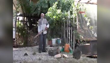 Antalya'da Asırlık Dede Türel'e meydan okudu