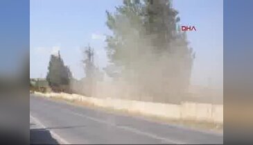 Tekirdağ Malkara'da orman yangını