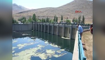 Ceyhan Nehri'nde 15 inek leşi çıkarıldı