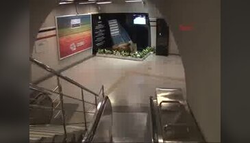 Metro'daki müzisyen heykeline aynı kişi yine saldırdı