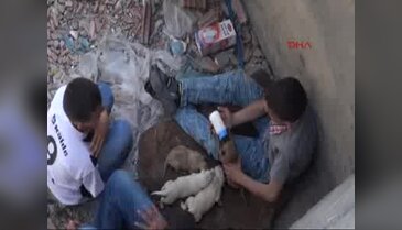 Annelerinden ayrı düşen eniklere mahallenin çocukları kuçak açtı
