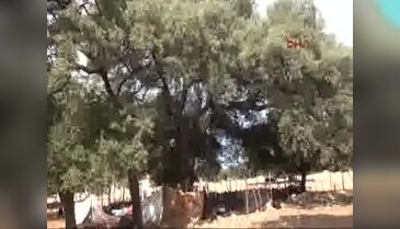 Antalya'da atalarının yönetimi ile peynir üretiyorlar