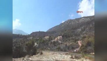 Adrasan'da evler ve hayvanların yaşam alanları küle döndü