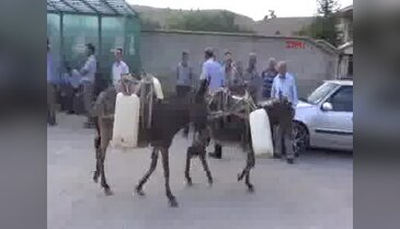 Konya'da 30 gündür eşeklerle evlerine su taşıyorlar