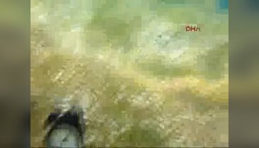 Yatak odasını deniz dibine taşıdılar