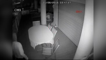 Adana'da villanın salonunda köpekle karşılaşan hırsız böyle kaçtı
