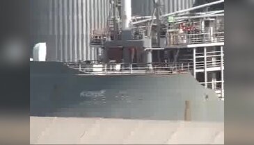 Yüzen ahır Bandırma'ya 9 bin 300 büyükbaş hayvan getirdi