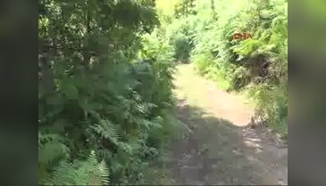 Zonguldak'ta altın diş söylentisi mezar açtırdı