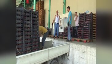 Erdoğan'ın Putin'e mektubu Bursa'daki üreticilerin umudu oldu
