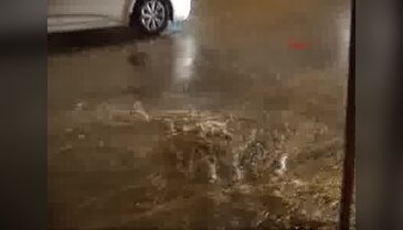 Yozgat'ta dolu yağışı ekili alanlara zarar verdi