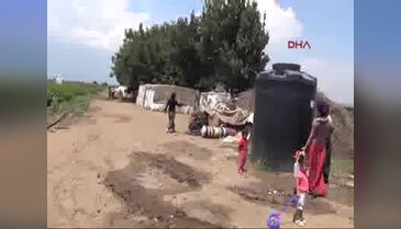 Doğu ve Güneydoğu'da terörden kaçanlar mevsimlik işçi oldu