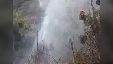 Alanya'da korkutan yangın