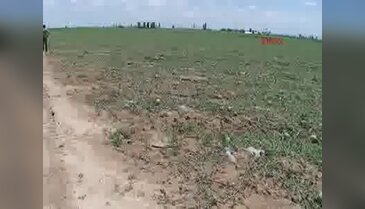 Konya'da dolu yağışı, ekili olan tarım arazilerine zarar verdi