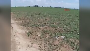 Konya Ereğli'de dolu yağışı ekili olan tarım arazilerine zarar verdi
