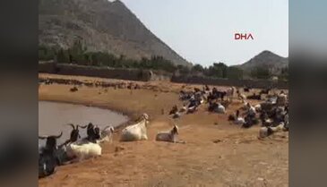 Marmaris'te kuyular da kurudu köylü perişan