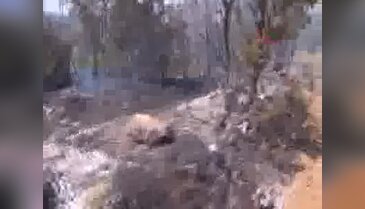 Lice'de 2'si ölü 6 PKK'lı etkisiz hale getirildi