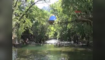 Ağaç dalında kamp çadırına ilgi