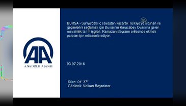 Bursa'da Suriyeli çocuklara "mevsimlik" topraklarda bayram uzak