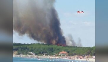 Çanakkale'de şehitliklerin bulunduğu tarihi Gelibolu Yarımadası'nda orman yangını