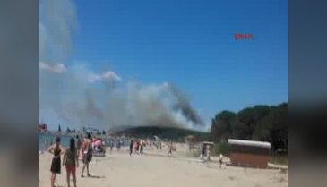 Çanakkale'de şehitliklerin bulunduğu tarihi Gelibolu Yarımadası'nda orman yangını - 4