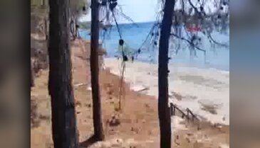 Çanakkale'de şehitliklerin bulunduğu tarihi Gelibolu Yarımadası'nda orman yangını - 5