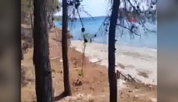 Çanakkale'de şehitliklerin bulunduğu tarihi Gelibolu Yarımadası'nda orman yangını - 6