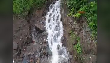 Ordu'daki sel fındığıda vurdu - 2