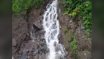 Ordu'daki sel fındığı da vurdu