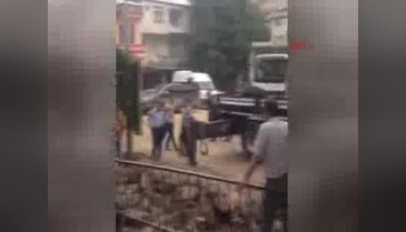 Yusufeli'nde aşırı yağış hasara neden oldu