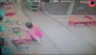 Yaban domuzu restorana daldı