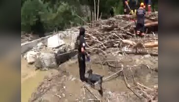 Ordu'da selde kaybolan 2 kişi, köpeklerle aranıyor