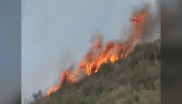 Bodrum'da yangın - 1