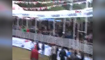 Artvin'de boğalar dövüşmedi sahipleri birbirine girdi