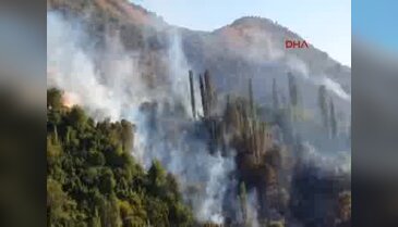 Gölbaşı'nda ormanlık alanda yangın