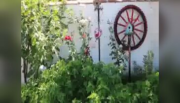 Sanat bahçesini müzeye dönüştürecek