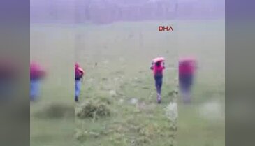 Teyze, ayı korkusundan kaçan yeğenini kurtarmak isterken ölüme gitti - 2