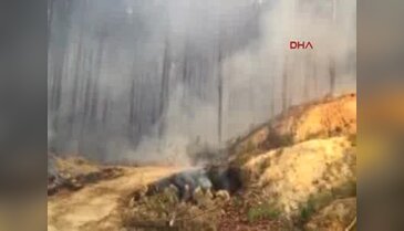 Aydın'da çamlık bölgede orman yangını