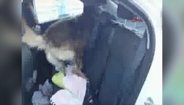 Uşak'ta 10 kilo 740 gram esrar ele geçirildi