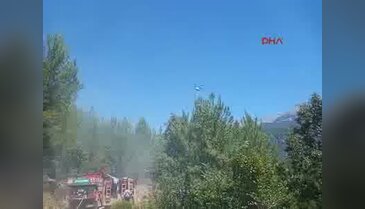 Alanya'da orman yangını - 2