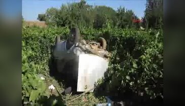 Otomobil üzüm bağına uçtu: 6 yaralı