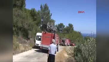 Erdemli'de orman yangını