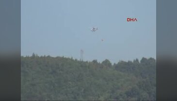 Yalova'da 30 dönümlük ormanlık alan kül oldu