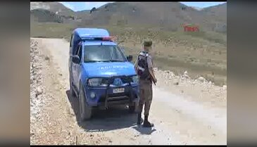 Köylülere ait 9 at tüfekle öldürüldü